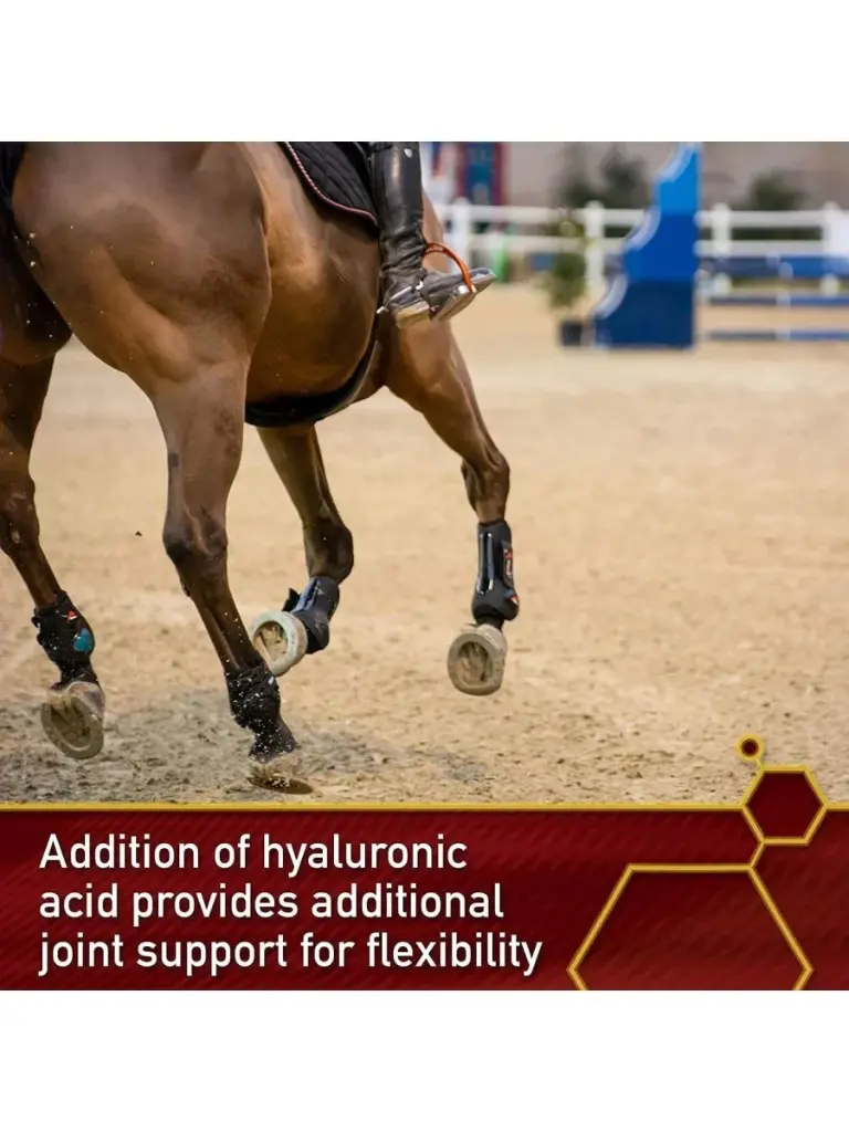 Equinyl Joint Formula with Hyaluronic Acid 1.70 kg
