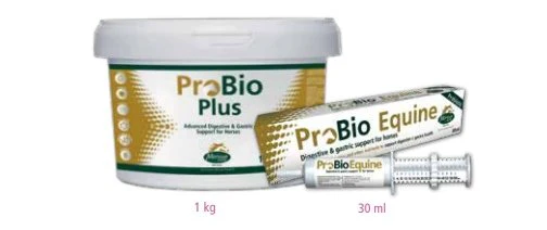 ProBio digestive and gastric support for horses 30ml