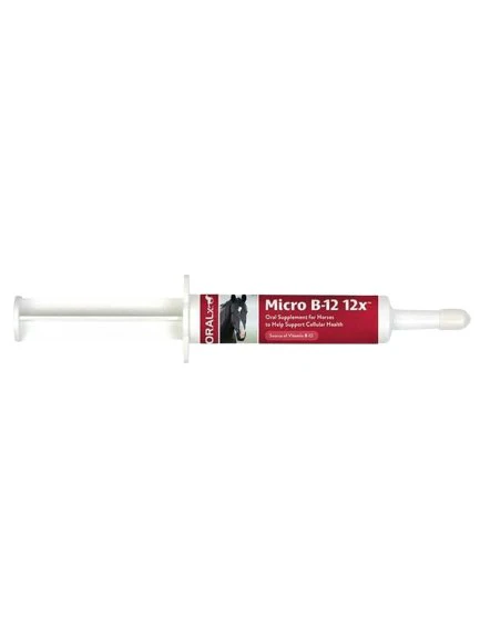 Oralx Micro-B12 12x Paste 36gm