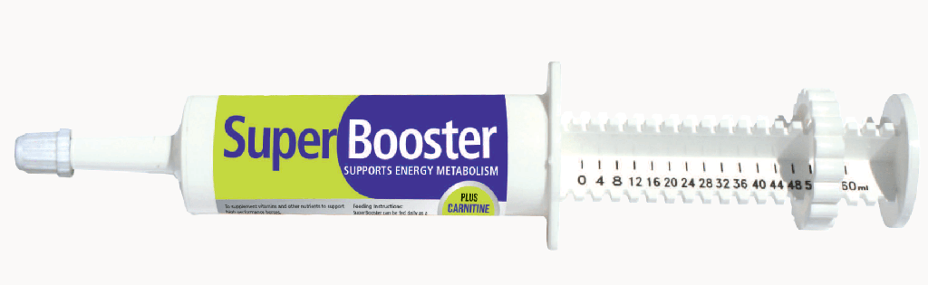 SuperBooster antioxidant, trace element and energy booster 60ml