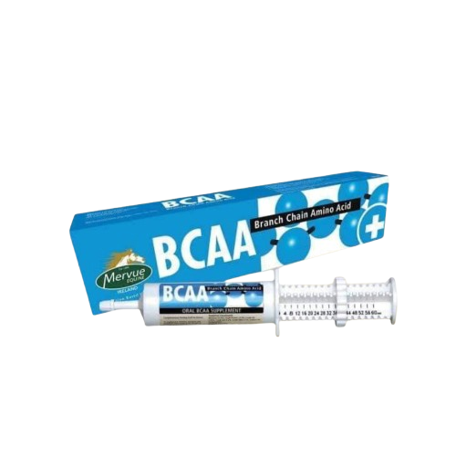 BCAA supporting muscle recovery after strenuous exercise 60ml