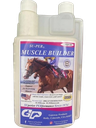 SUPER MUSCLE BUILDER