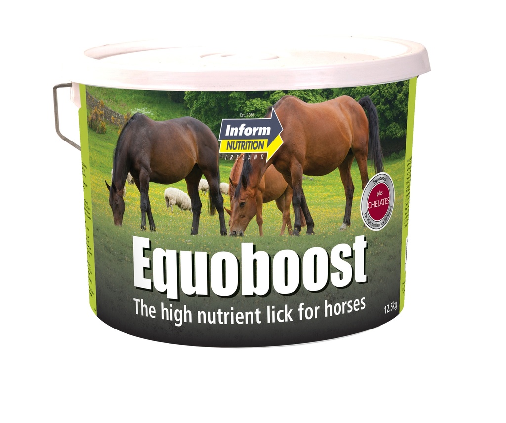EquoBoost Lick The high nutrient lick for horses 3kg