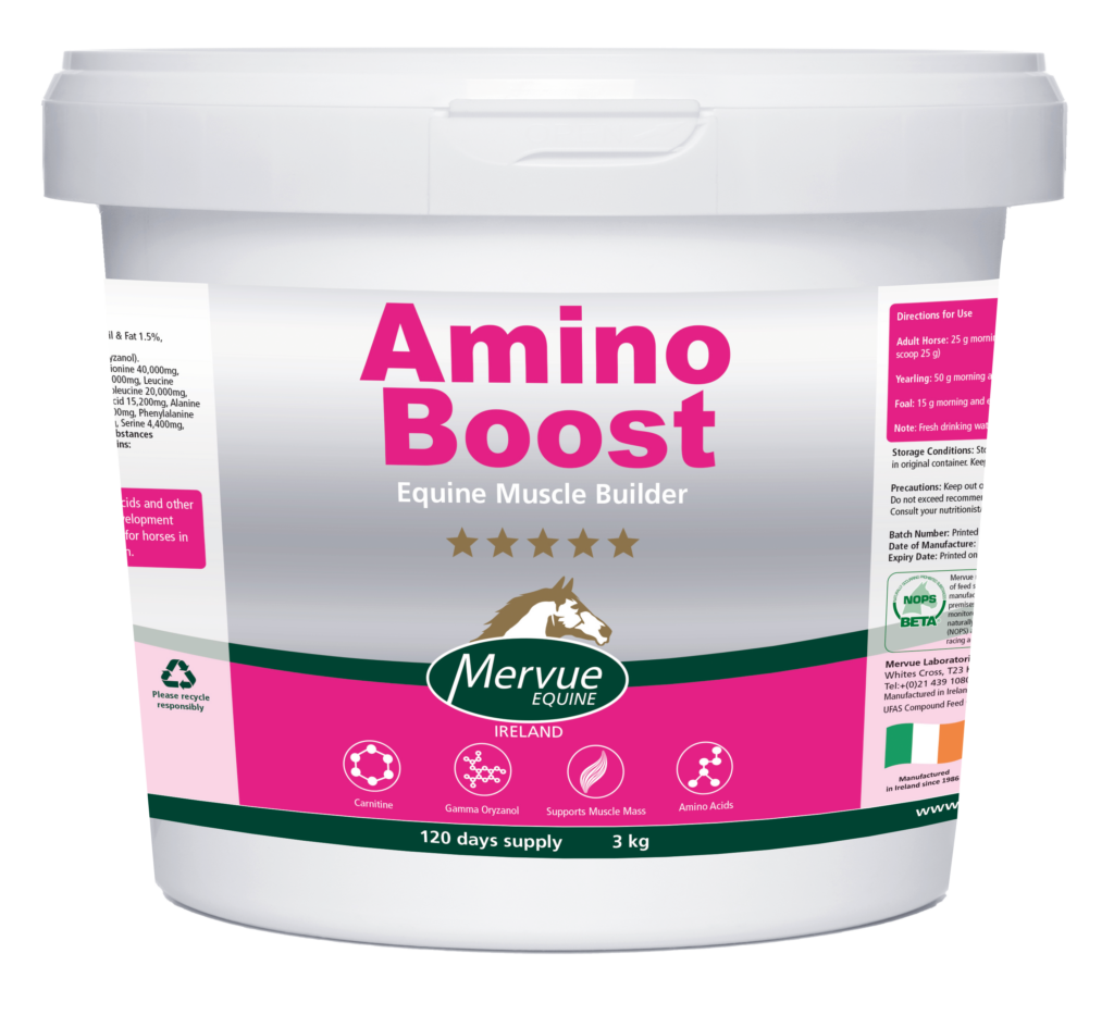 AMINO BOOST
