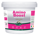 AMINO BOOST