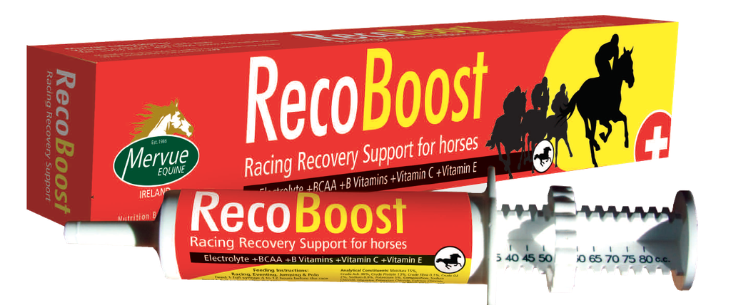 RecoBoost to replace critical nutrients lost 80ml