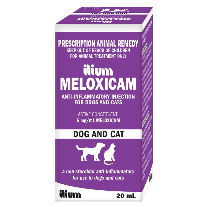 ilium MELOXICAM 5 20ml 