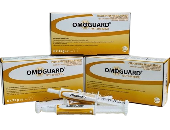 OMOGUARD 1 Paste