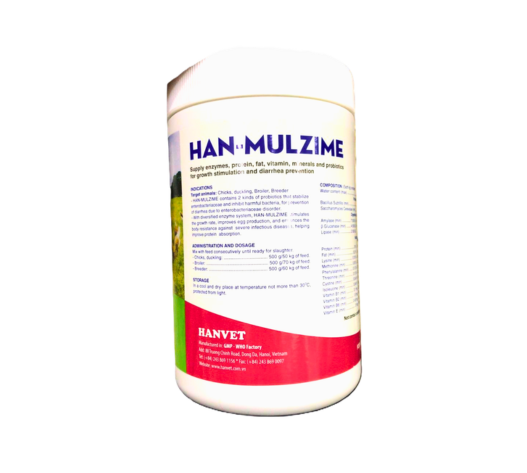 Han-Mulzyme