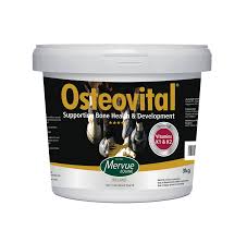 OsteoVital Building bone density and strength 