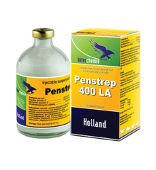 PENSTREP 400 LA 100ml