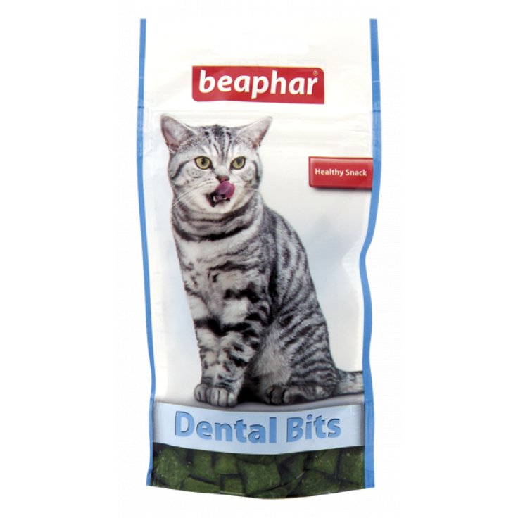DENTAL BITS 35G