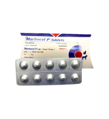 Marbocyl p20mg 10 Tablets