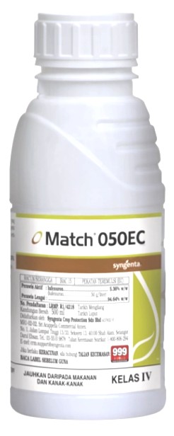 MATCH - 500 ML