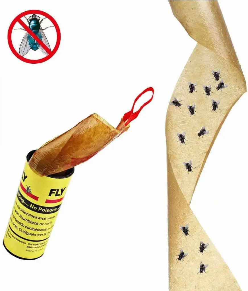 Fly Strips